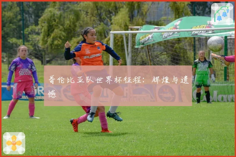 哥伦比亚队世界杯征程:辉煌与遗憾