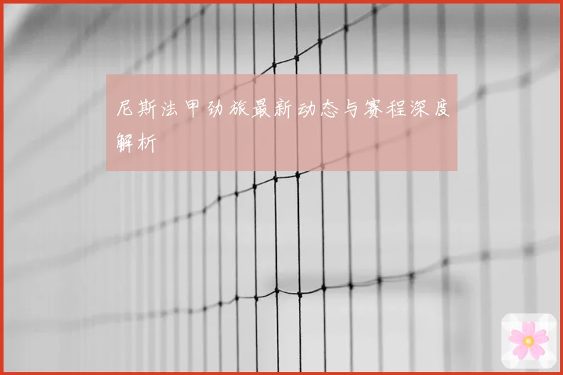 尼斯法甲劲旅最新动态与赛程深度解析
